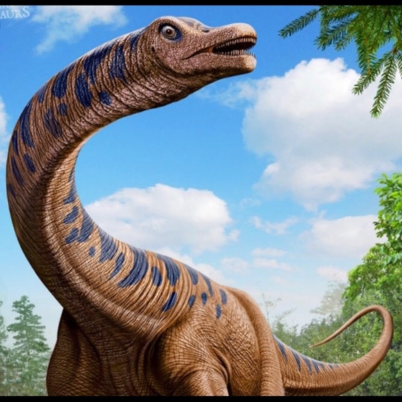 Meet your Posher, Jozef - Picture 1 of 1